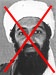 Photograph of  and link to Usama Bin Laden